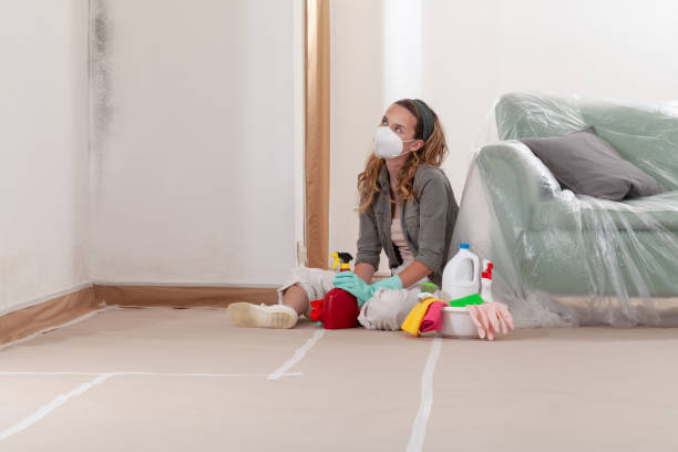 Reliable Commercial Mold Remediation contractor in Point of Rocks, MD by WQB Mold Removal